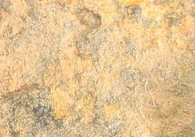 Pitted steel surface