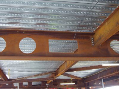 Various shapes of openings in the webs of composite beams