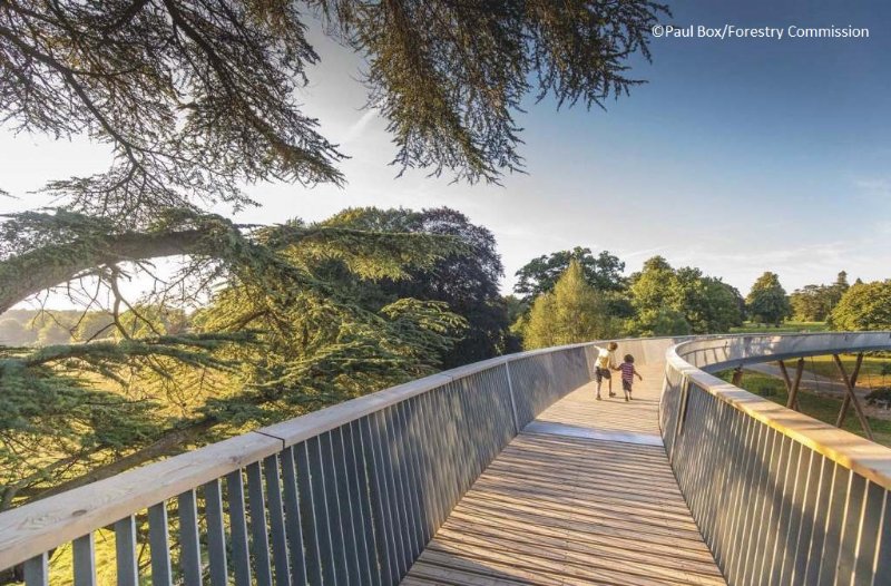 STIHL Treetop Walkway, Westonbirt, the National Arboretum