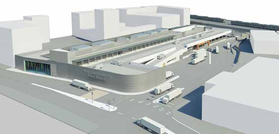 Visualisation of how the interim flower market will look