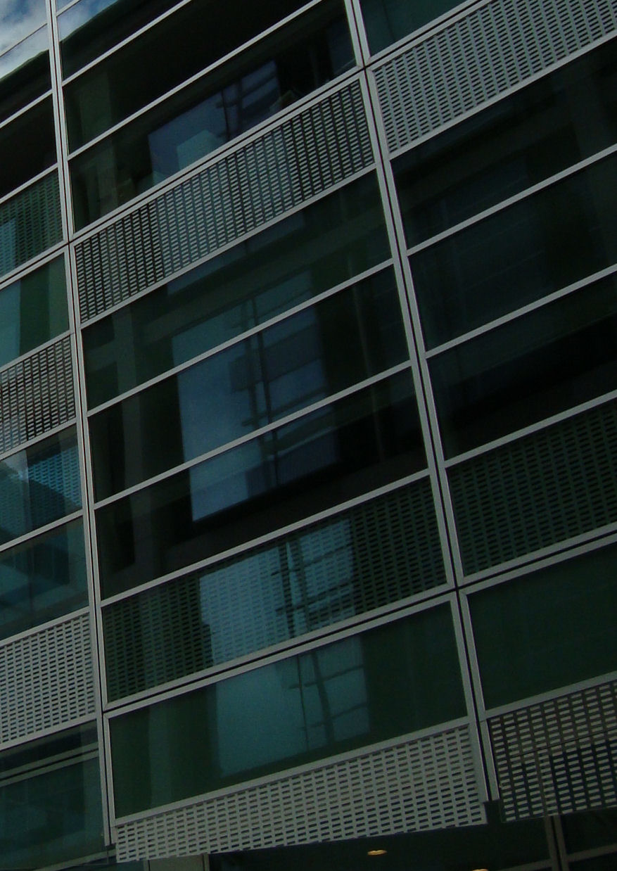 Panel defined by split mullions and transoms