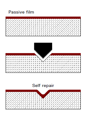The corrosion protection of stainless steel
