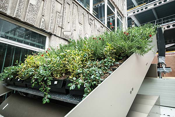 …with greenery supplied by plant boxes to be retrofitted to the steelwork