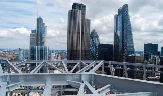 The rooftop birds’ nest plant deck